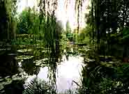 Monet's garden, Giverny